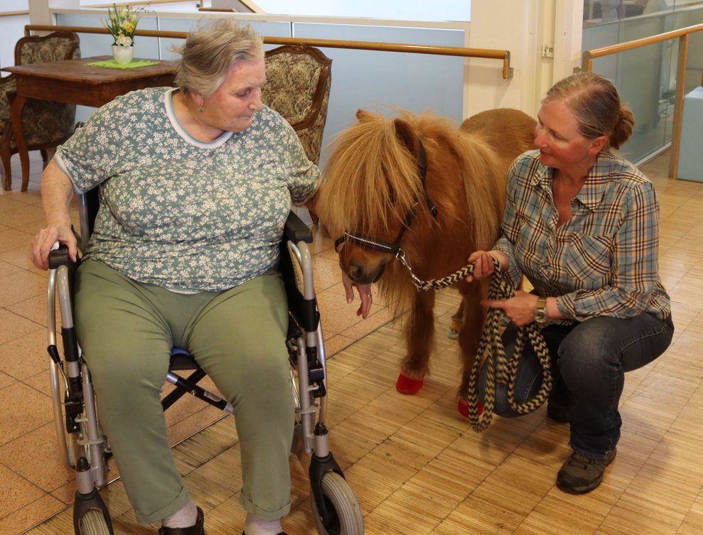 Da steht ein Pferd auf dem Flur....