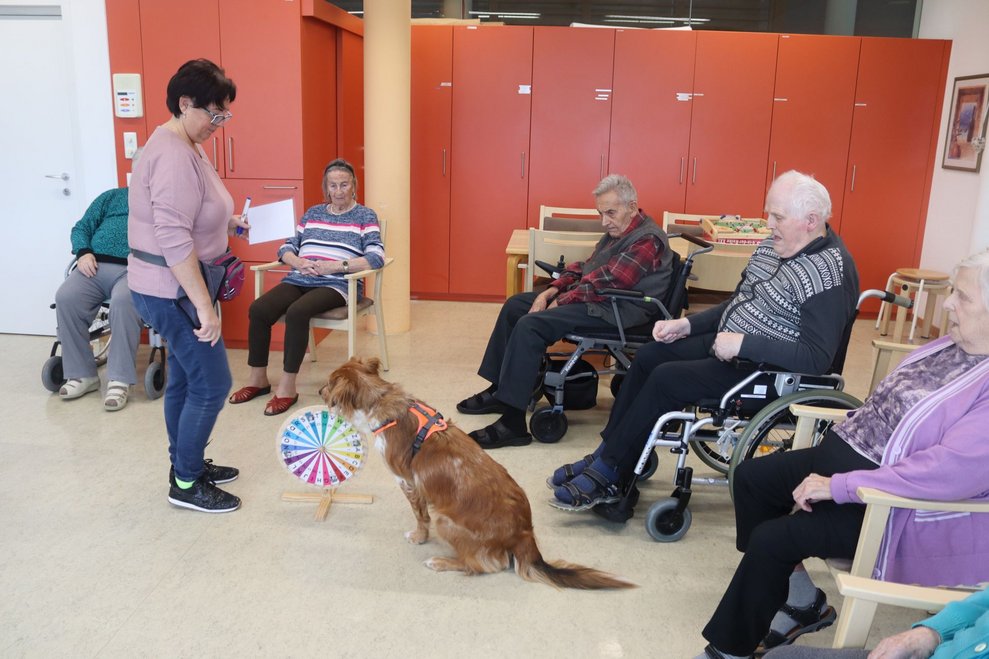 Hundetherapie mit Lucy