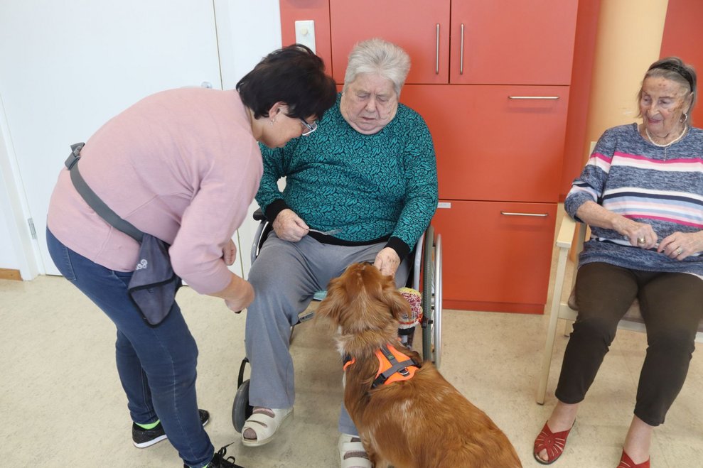 Hundetherapie mit Lucy