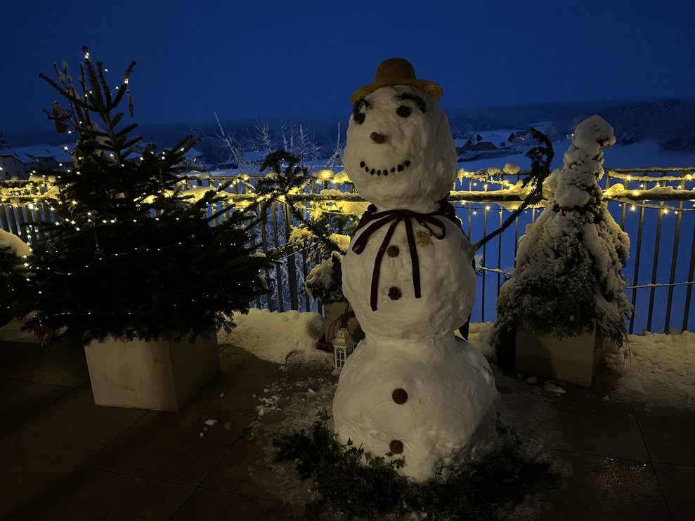 Kurzer Besuch vom Schneemann