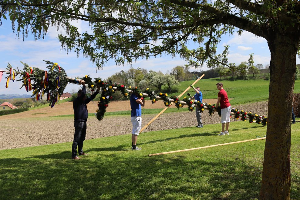 Wir stellen unseren Maibaum auf