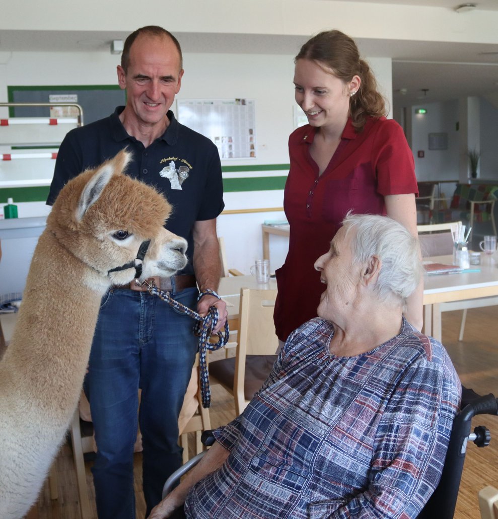 Spannender Besuch - Alpakas im Haus!