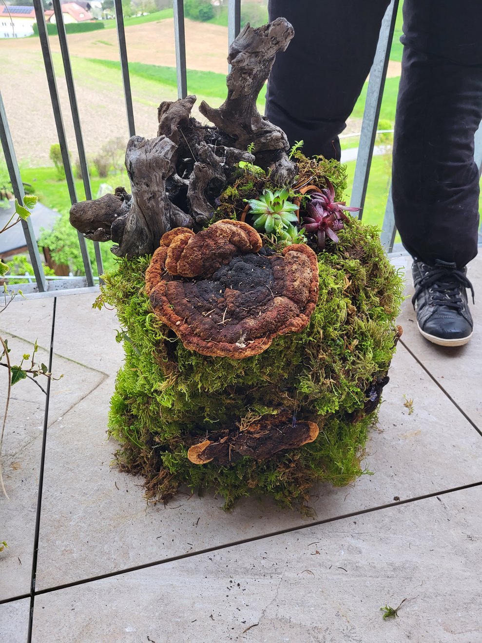 Beim Gärtner Starkl