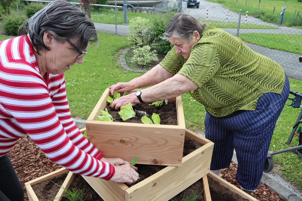 Gemüsegarten