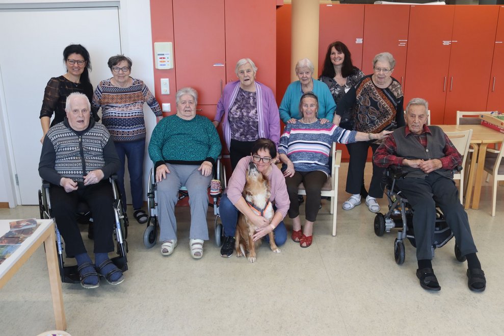 Hundetherapie mit Lucy