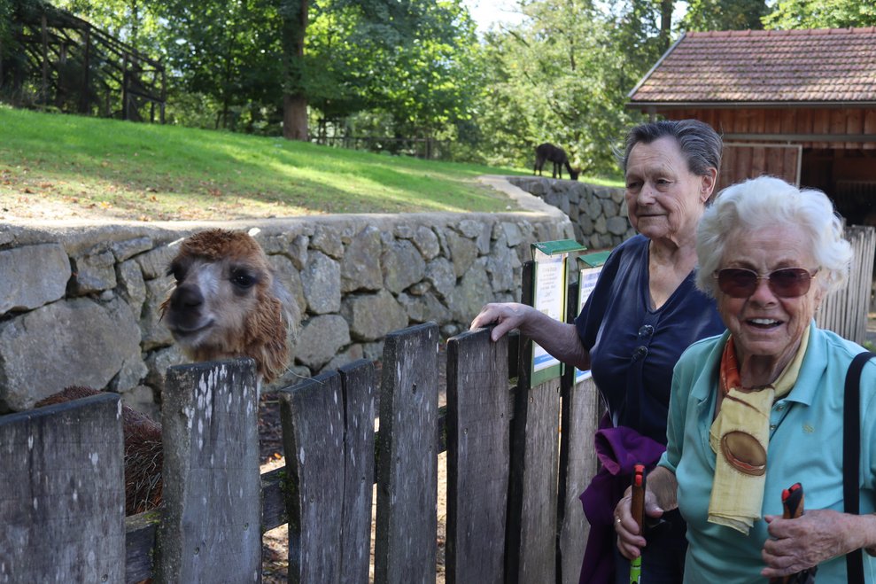Tierischer Ausflug