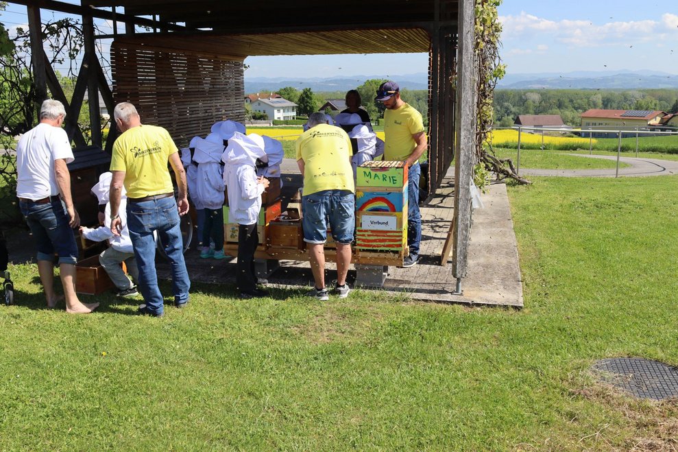 Bienenprojekt