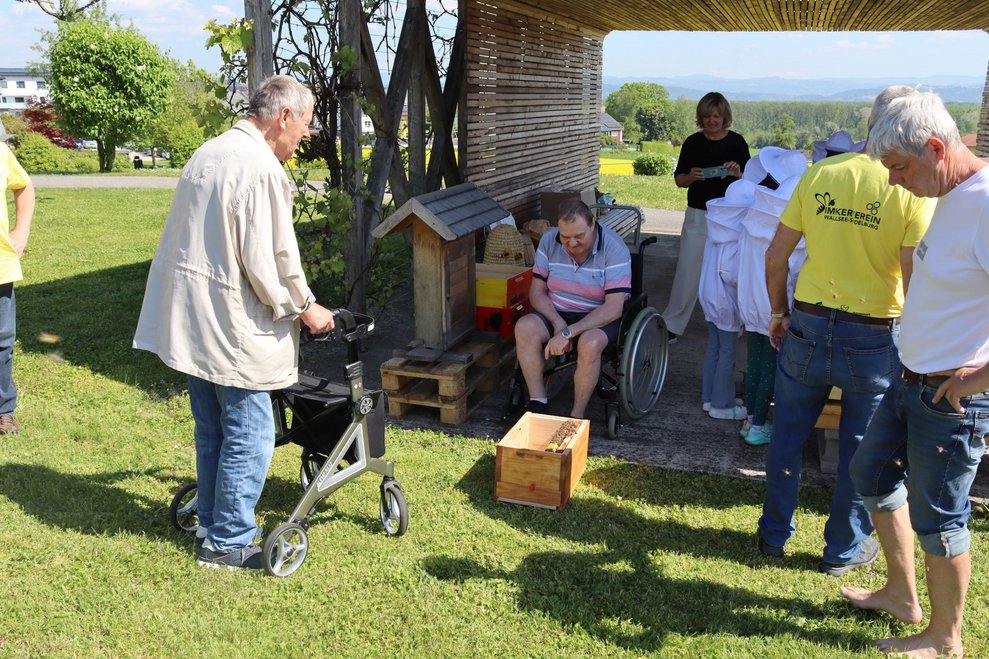 Bienenprojekt