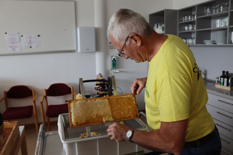Bienenprojekt Teil 2