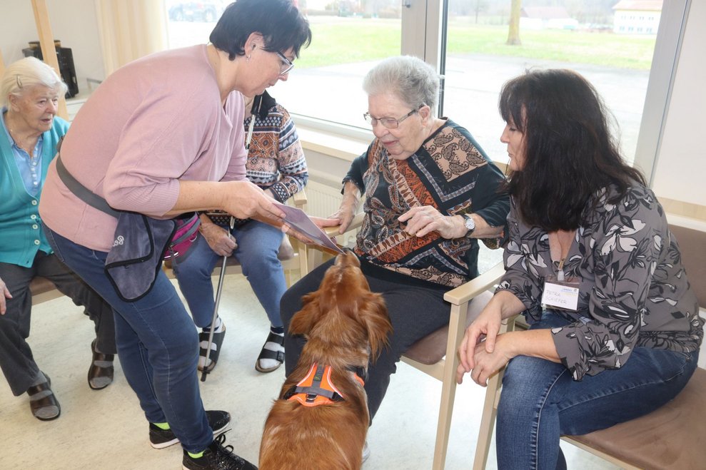Hundetherapie mit Lucy