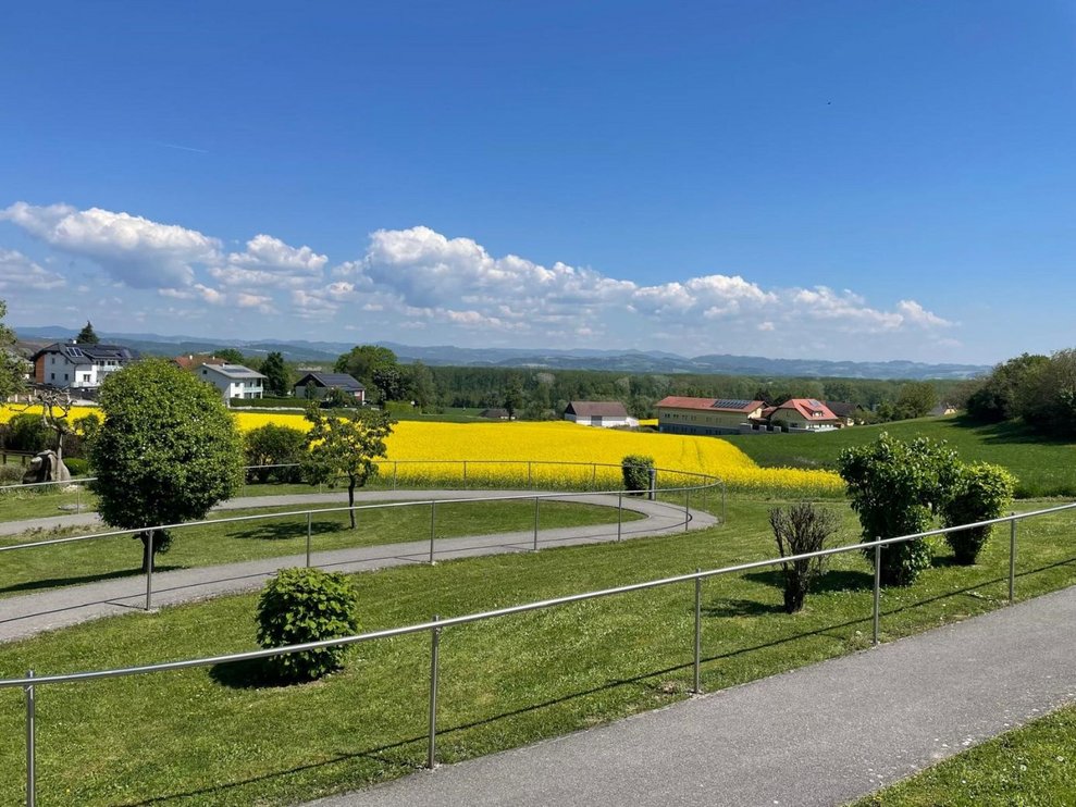 Bienenprojekt