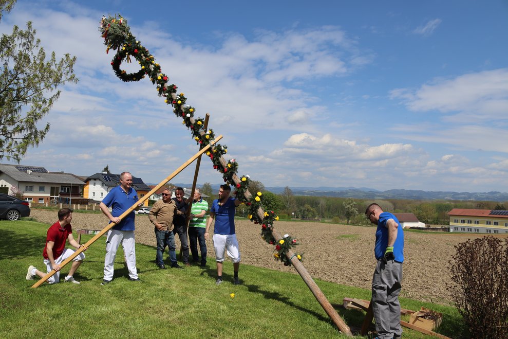Wir stellen unseren Maibaum auf