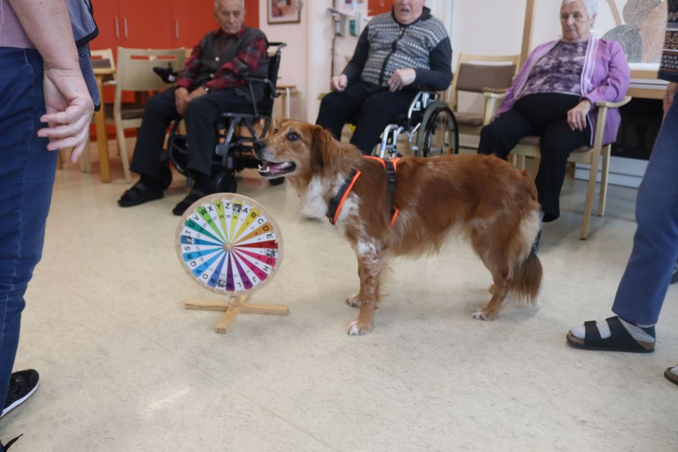Hundetherapie mit Lucy