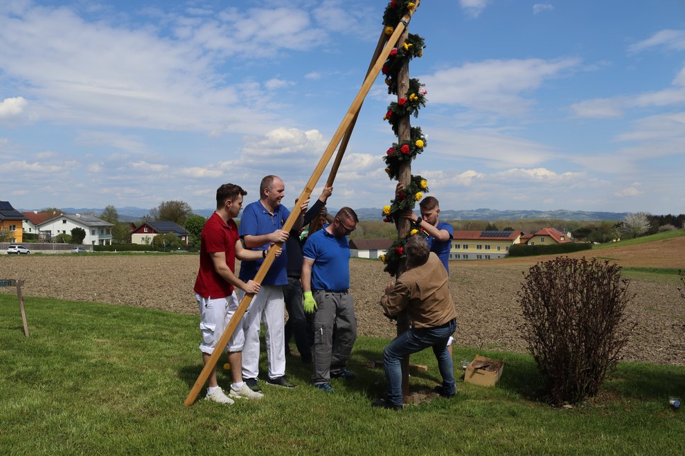 Wir stellen unseren Maibaum auf