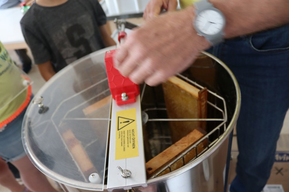 Bienenprojekt Teil 2