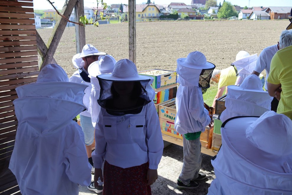 Bienenprojekt