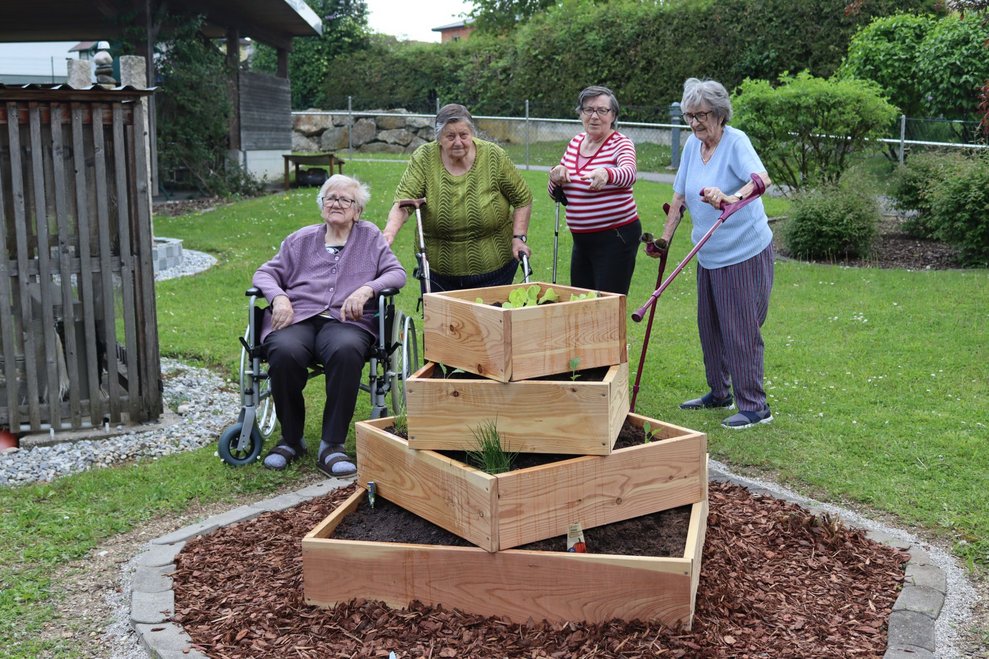 Gemüsegarten