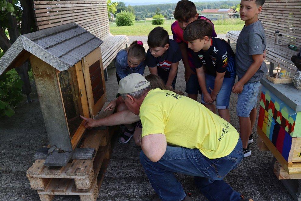 Bienenprojekt Teil 2