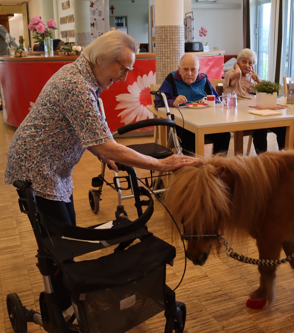 Da steht ein Pferd auf dem Flur....