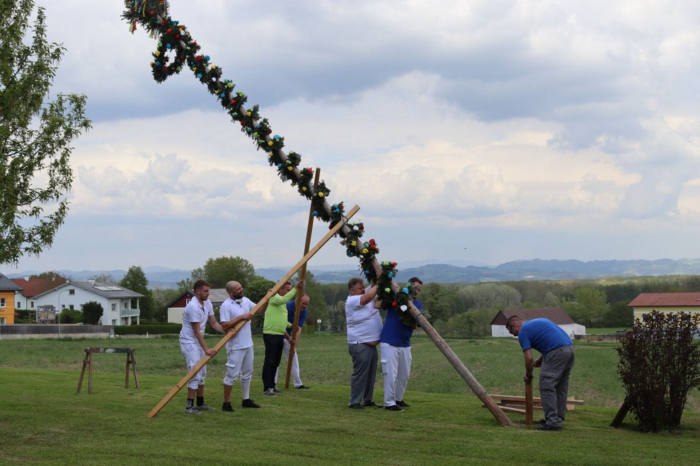 Maibaumfest