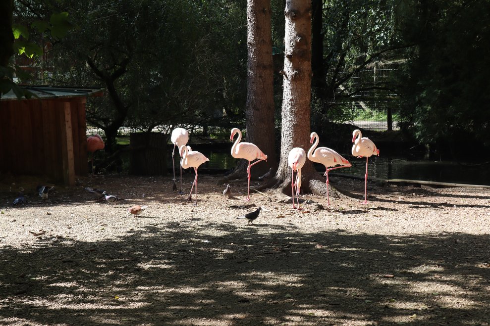 Tierischer Ausflug