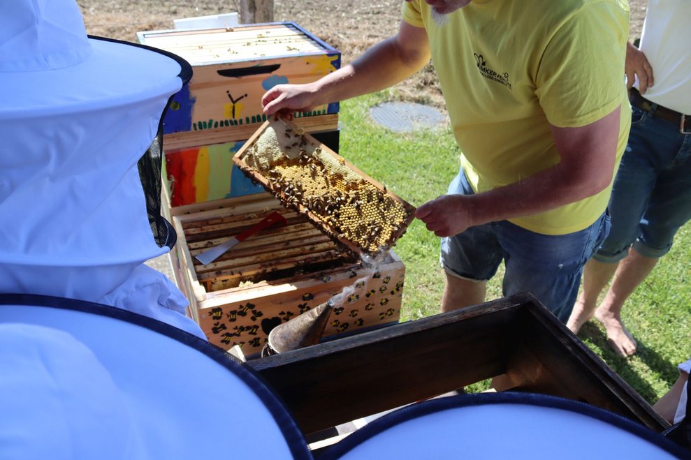 Bienenprojekt