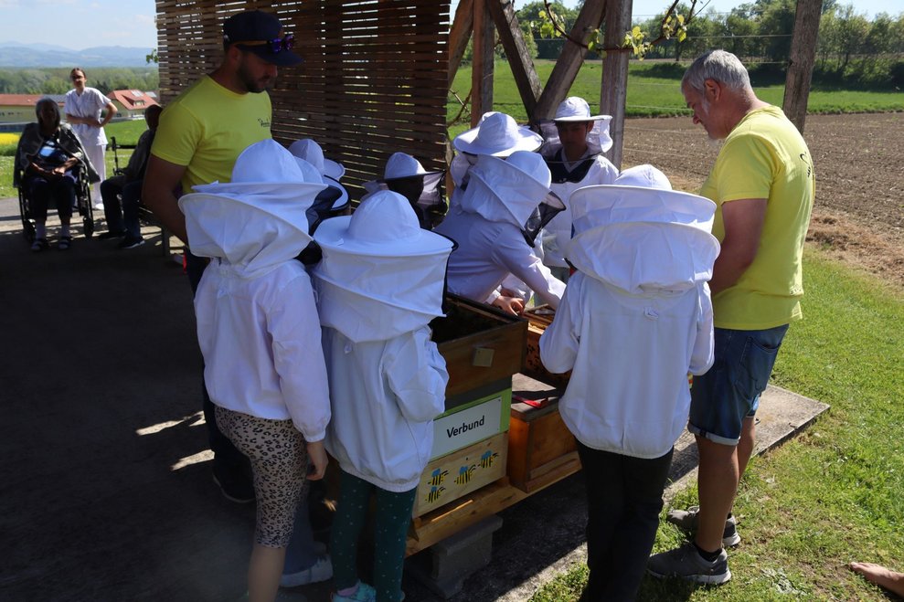 Bienenprojekt