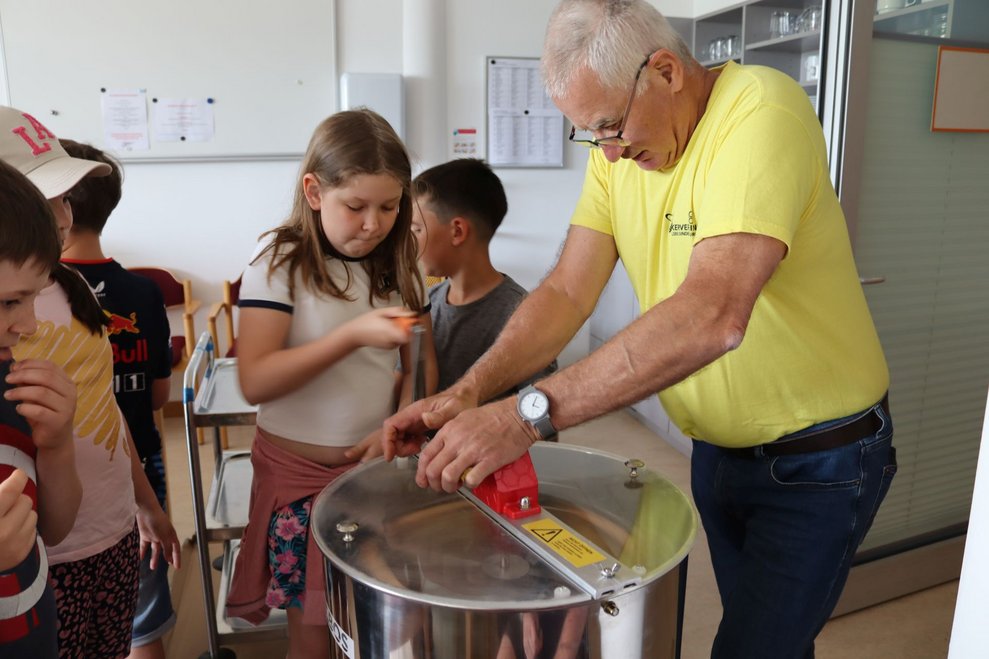 Bienenprojekt Teil 2